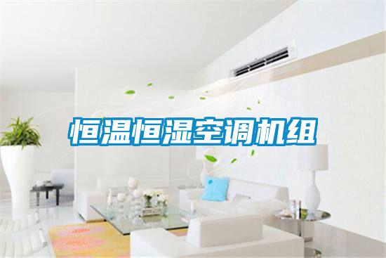 恒溫恒濕空調機組