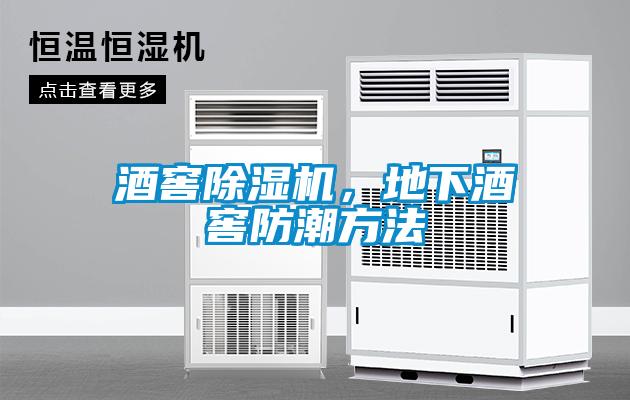 酒窖除濕機，地下酒窖防潮方法