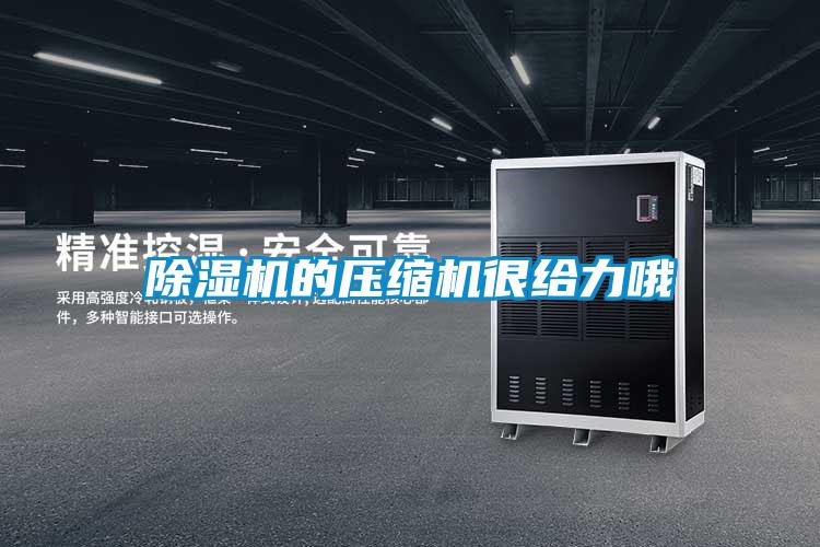 除濕機的壓縮機很給力哦
