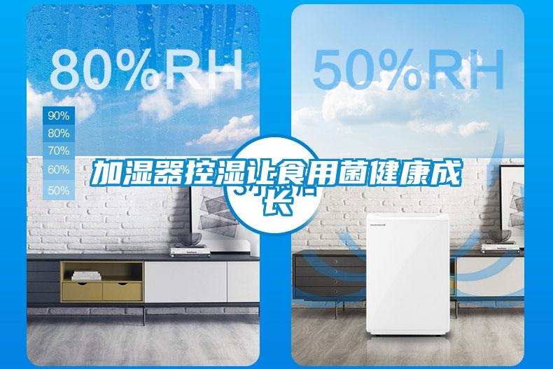 加濕器控濕讓食用菌健康成長