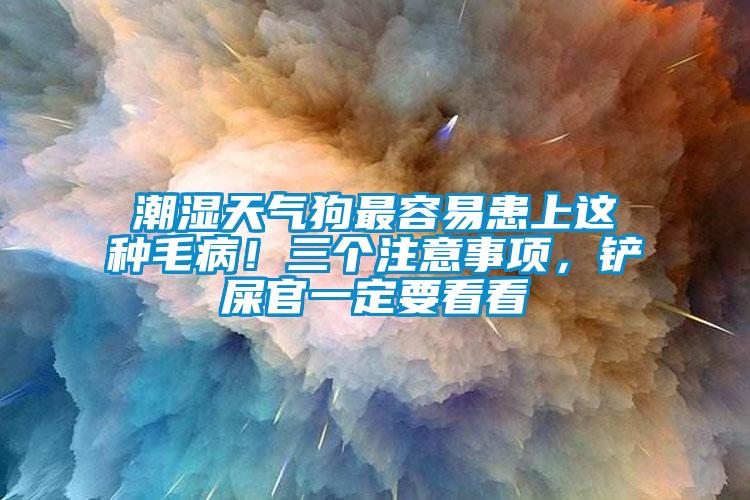 潮濕天氣狗最容易患上這種毛病！三個注意事項，鏟屎官一定要看看