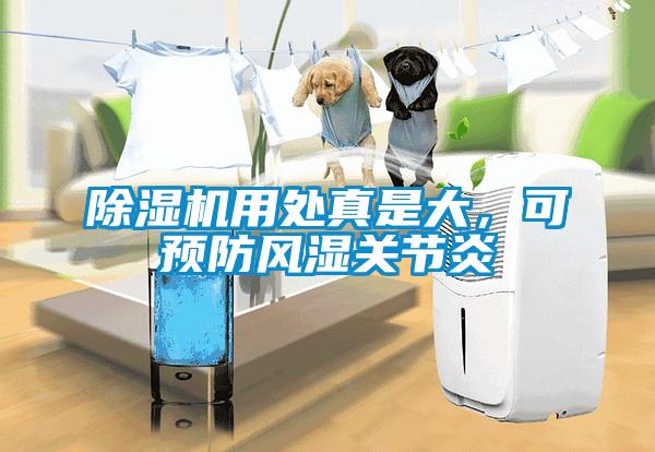 除濕機(jī)用處真是大，可預(yù)防風(fēng)濕關(guān)節(jié)炎