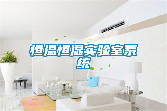 恒溫恒濕實(shí)驗(yàn)室系統(tǒng)