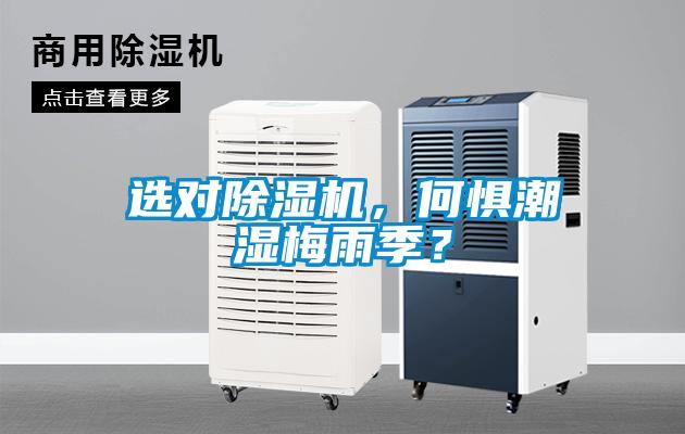 選對除濕機，何懼潮濕梅雨季？