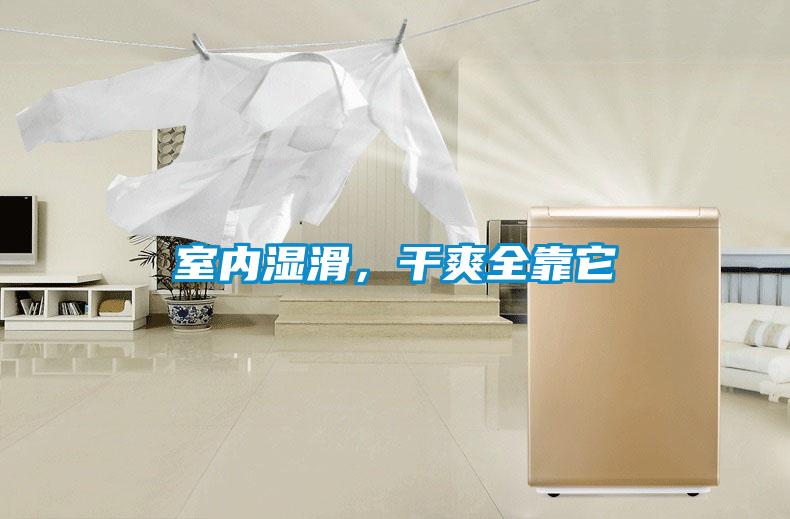室內濕滑，干爽全靠它