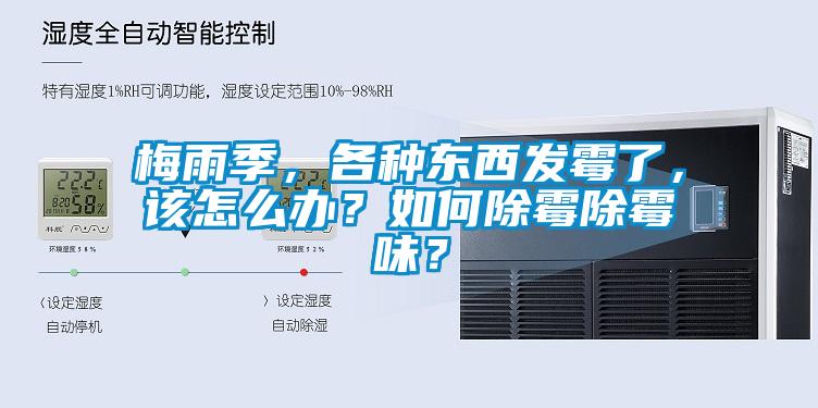 梅雨季，各種東西發(fā)霉了，該怎么辦？如何除霉除霉味？