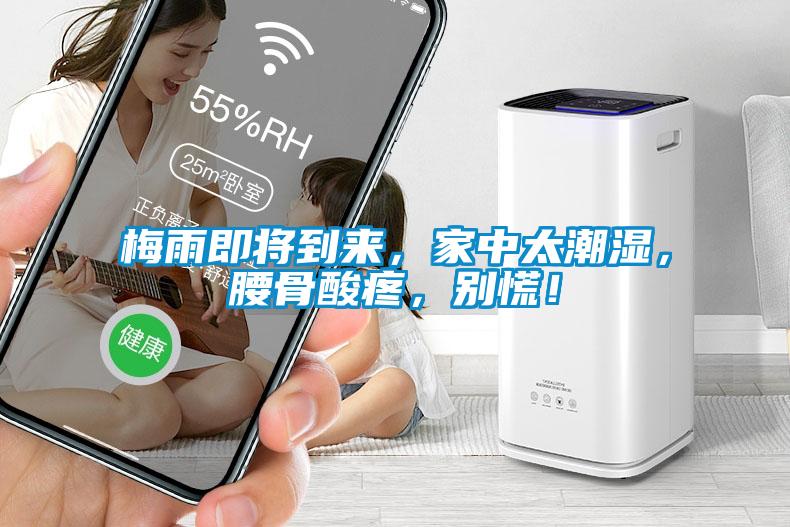 梅雨即將到來，家中太潮濕，腰骨酸疼，別慌！