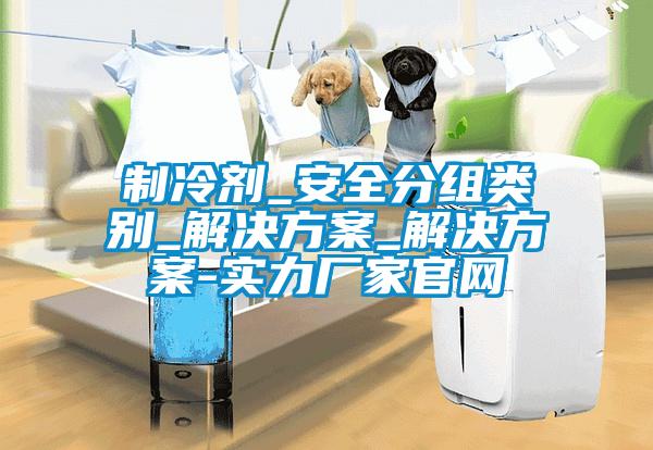 制冷劑_安全分組類別_解決方案_解決方案-實力廠家官網