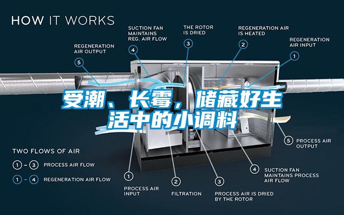 受潮、長霉，儲藏好生活中的小調(diào)料