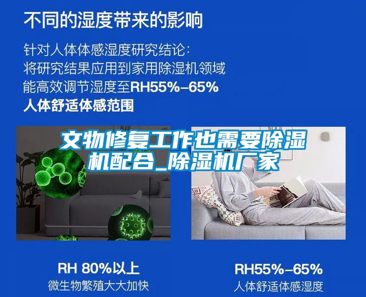 文物修復工作也需要除濕機配合_除濕機廠家