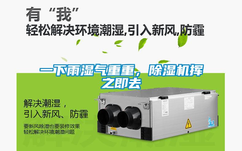 一下雨濕氣重重，除濕機揮之即去