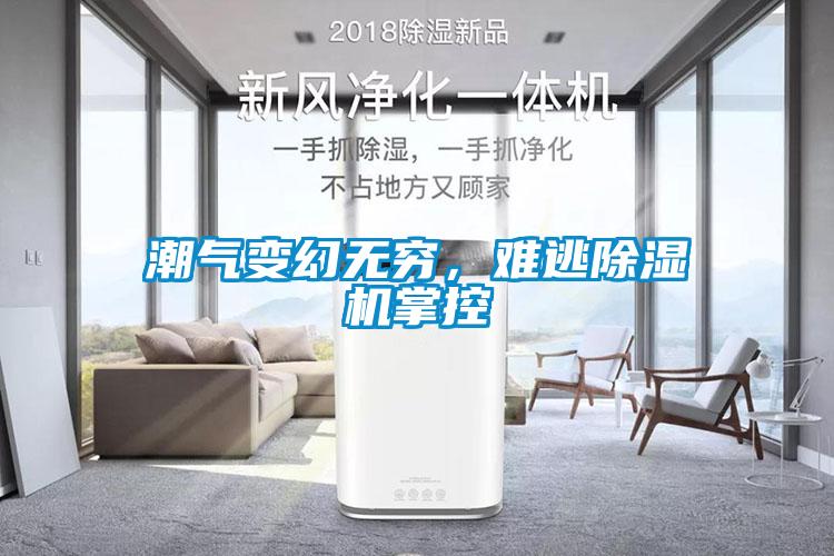 潮氣變幻無(wú)窮，難逃除濕機(jī)掌控
