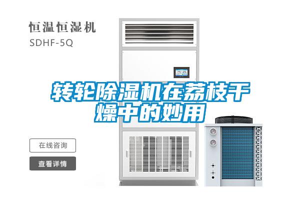 轉輪除濕機在荔枝干燥中的妙用