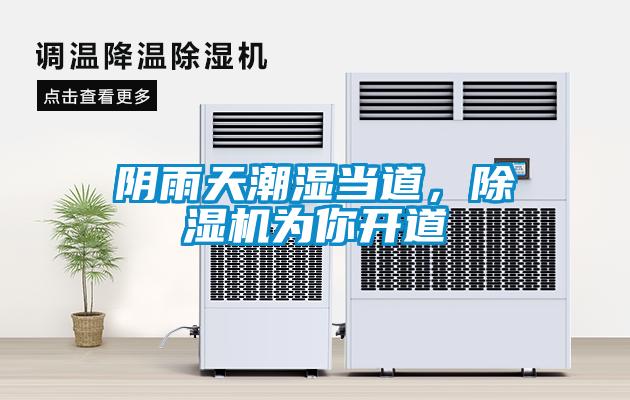陰雨天潮濕當(dāng)?shù)溃凉駲C(jī)為你開(kāi)道