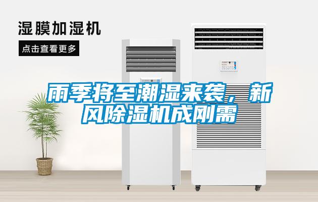 雨季將至潮濕來襲，新風除濕機成剛需