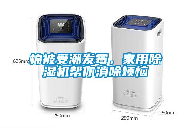 棉被受潮發霉，家用除濕機幫你消除煩惱