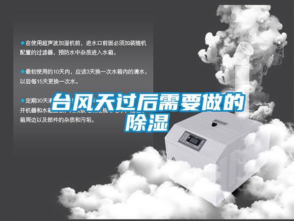 臺風(fēng)天過后需要做的除濕