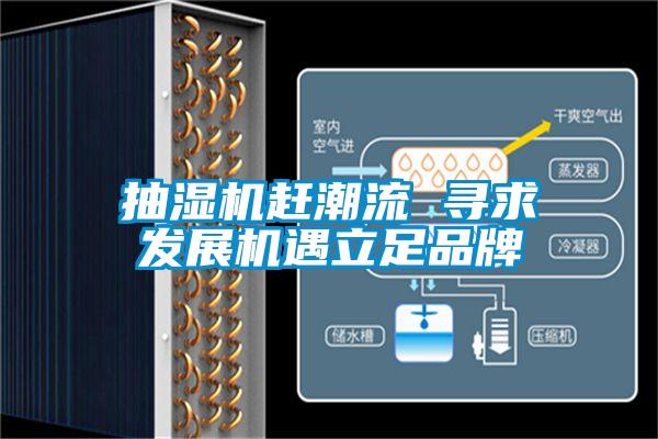 抽濕機趕潮流 尋求發(fā)展機遇立足品牌