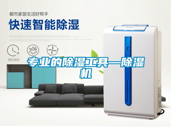 專業的除濕工具—除濕機