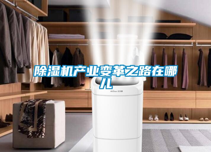 除濕機產(chǎn)業(yè)變革之路在哪兒