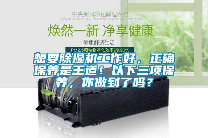 想要除濕機工作好，正確保養是王道！以下三項保養，你做到了嗎？