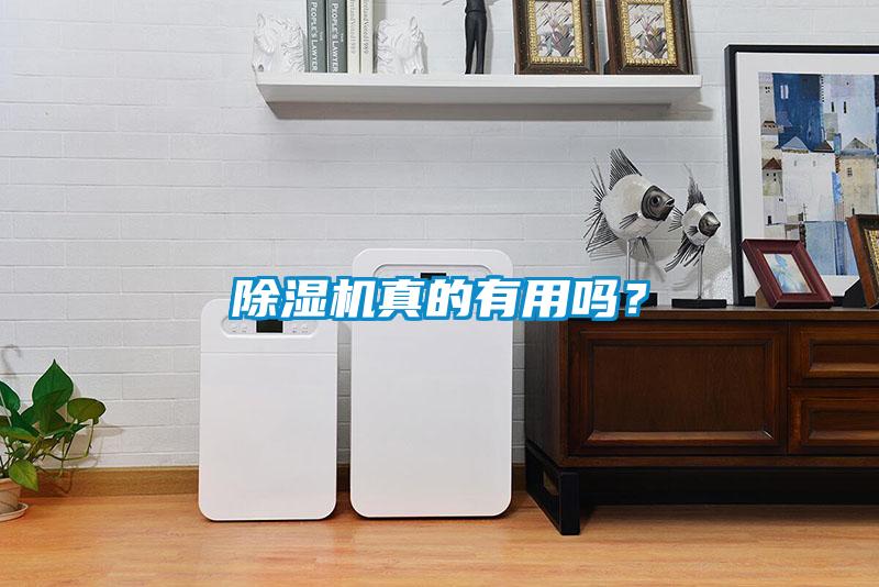 除濕機真的有用嗎？