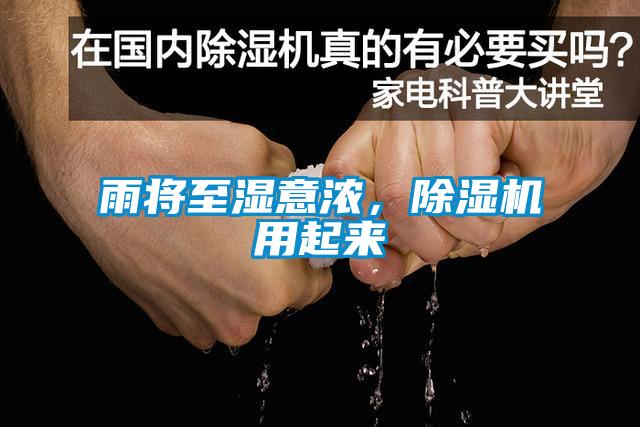 雨將至濕意濃，除濕機用起來