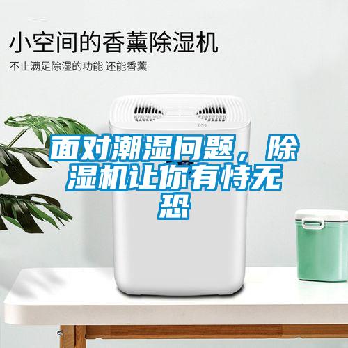 面對潮濕問題，除濕機讓你有恃無恐