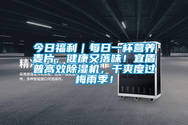 今日福利｜每日一杯營(yíng)養(yǎng)麥片，健康又落味！宜盾普高效除濕機(jī)，干爽度過(guò)梅雨季！
