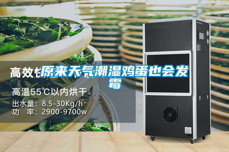 原來天氣潮濕雞蛋也會發霉