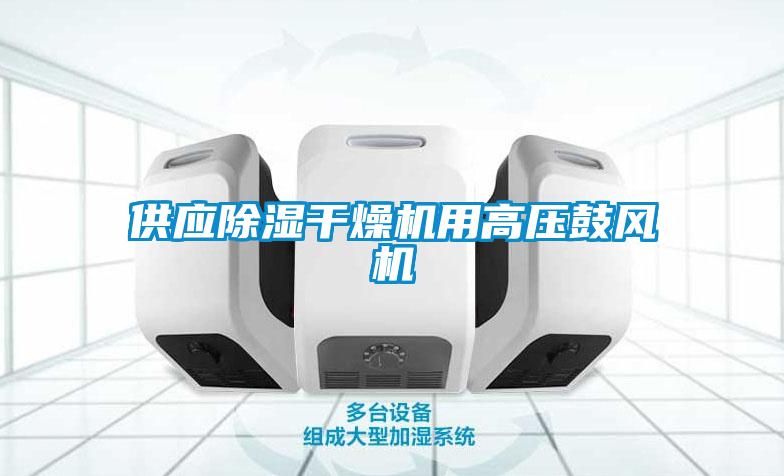 供應除濕干燥機用高壓鼓風機