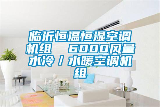 臨沂恒溫恒濕空調(diào)機組  6000風(fēng)量水冷／水暖空調(diào)機組