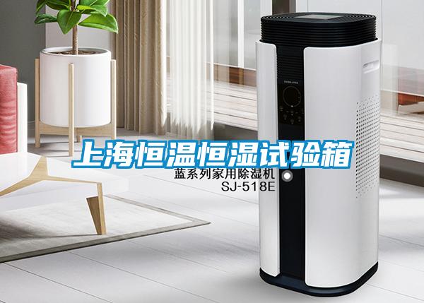 上海恒溫恒濕試驗(yàn)箱