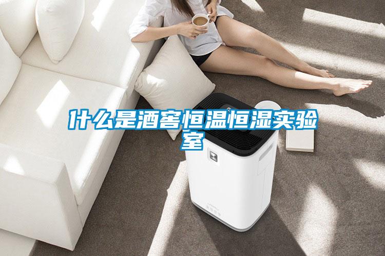 什么是酒窖恒溫恒濕實驗室