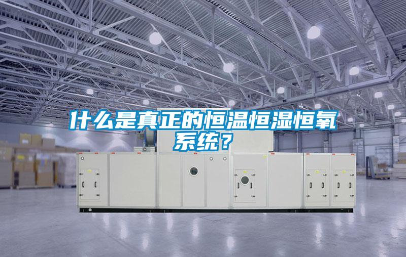 什么是真正的恒溫恒濕恒氧系統？