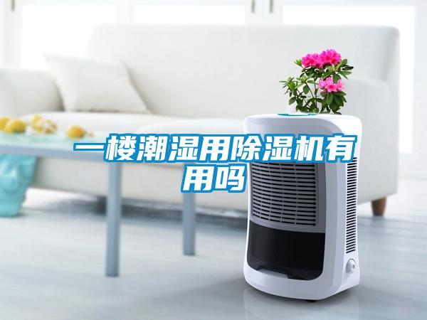 一樓潮濕用除濕機有用嗎