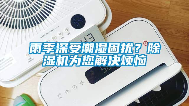 雨季深受潮濕困擾？除濕機為您解決煩惱