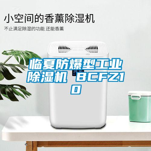 臨夏防爆型工業除濕機 BCFZ10