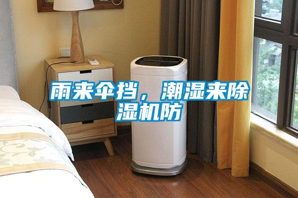 雨來(lái)傘擋，潮濕來(lái)除濕機(jī)防