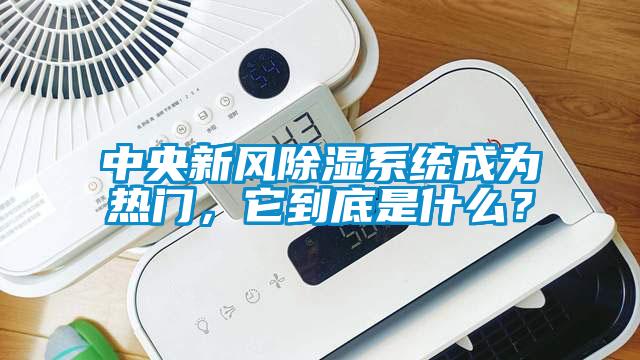 中央新風除濕系統成為熱門，它到底是什么？