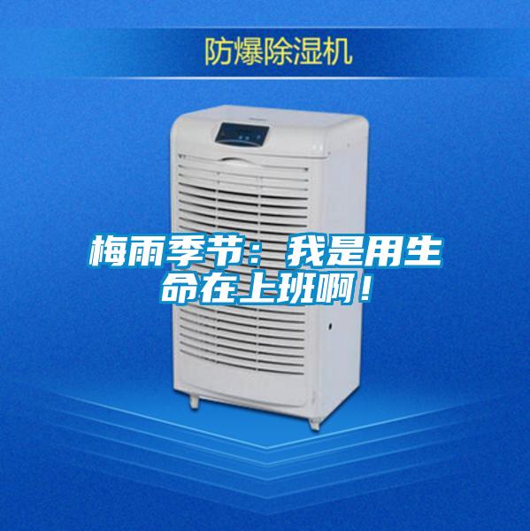 梅雨季節(jié)：我是用生命在上班啊！