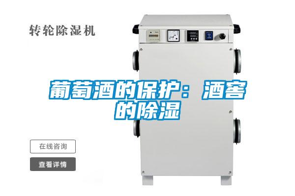 葡萄酒的保護：酒窖的除濕