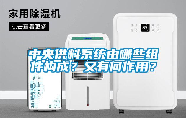 中央供料系統(tǒng)由哪些組件構(gòu)成？又有何作用？