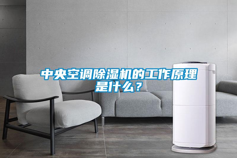 中央空調除濕機的工作原理是什么？