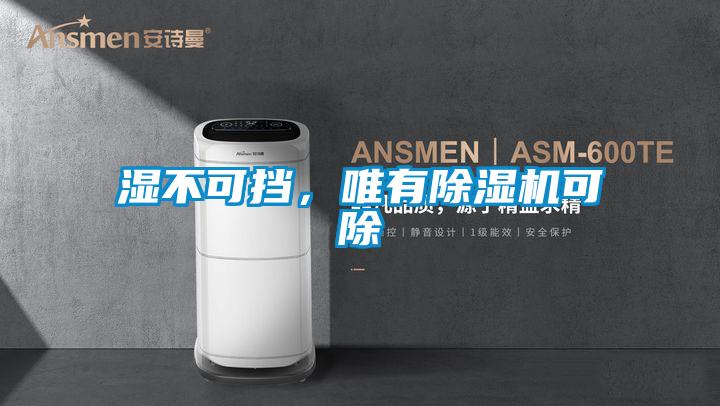 濕不可擋，唯有除濕機(jī)可除