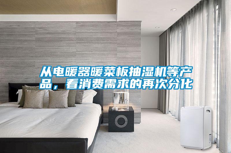 從電暖器暖菜板抽濕機(jī)等產(chǎn)品，看消費(fèi)需求的再次分化