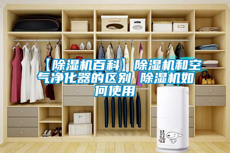 【除濕機百科】除濕機和空氣凈化器的區別 除濕機如何使用