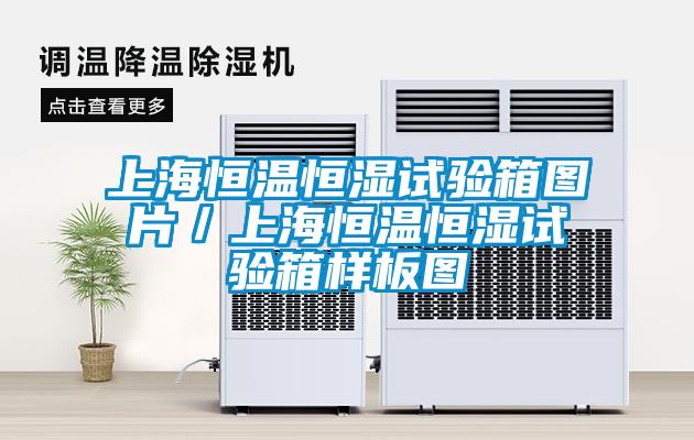 上海恒溫恒濕試驗(yàn)箱圖片／上海恒溫恒濕試驗(yàn)箱樣板圖
