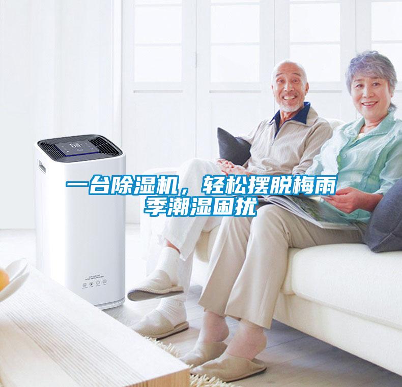 一臺除濕機，輕松擺脫梅雨季潮濕困擾