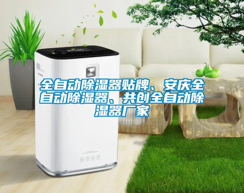 全自動除濕器貼牌、安慶全自動除濕器、共創全自動除濕器廠家